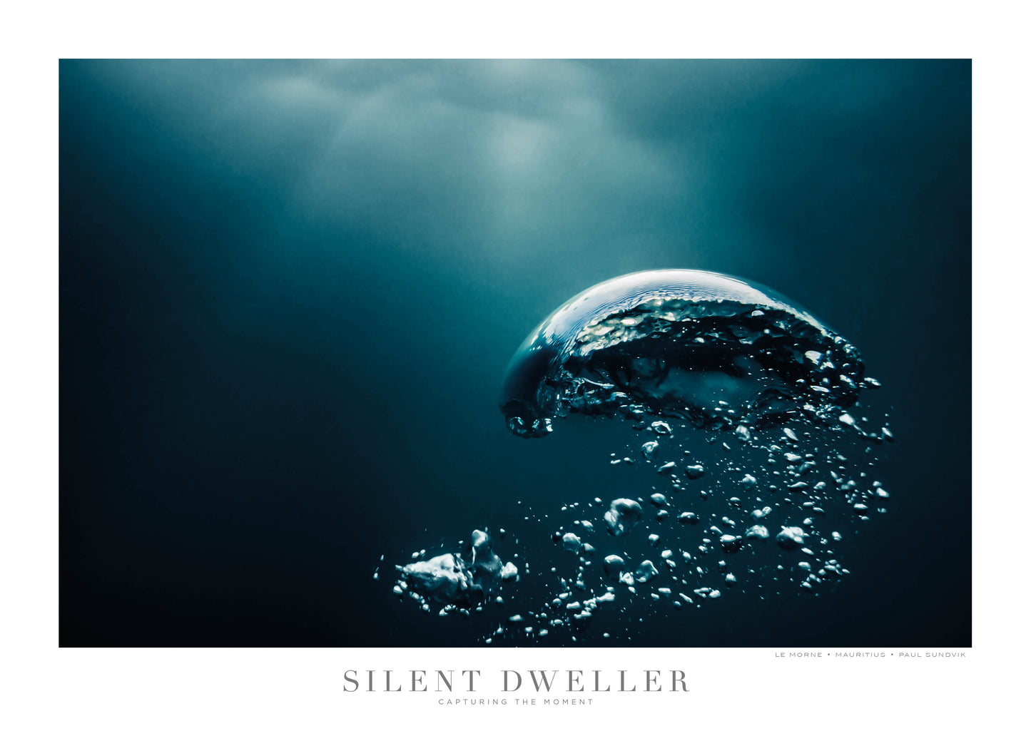 SILENT DWELLER